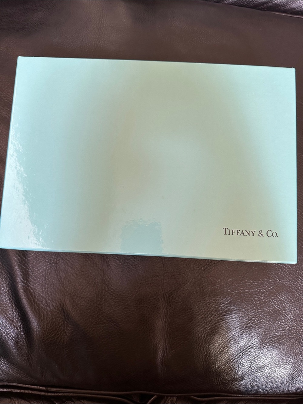 Tiffany & Co. Robin's Egg Blue Presentation Box